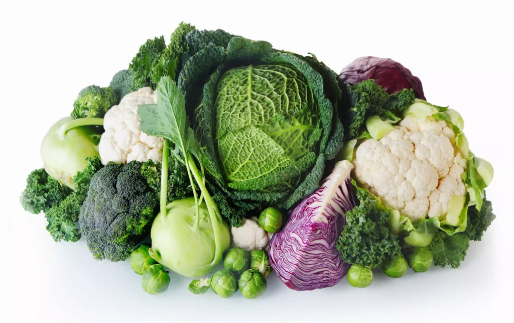 a pile of different types of vegetables