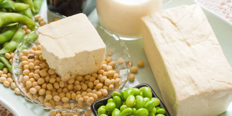 a plate of soybeans and tofu